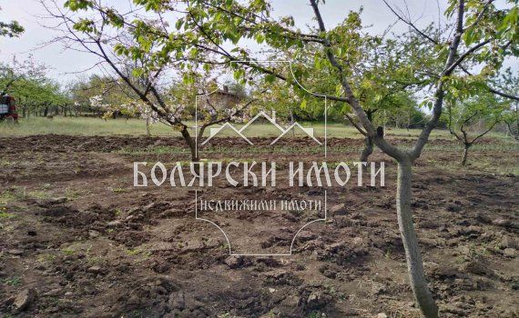 Продава се Къща в с. Ново градище, Област Велико Търново - 120 кв.м за 179 €/кв.м - Снимка #6