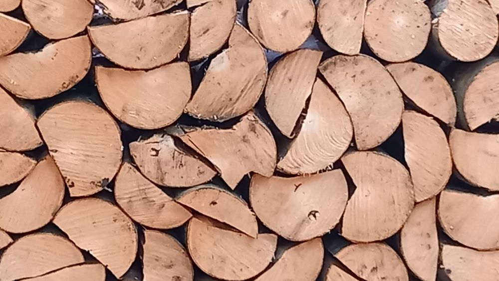 Vând Lemne de foc fag crepatura cu transport inclus pana la domiciliu