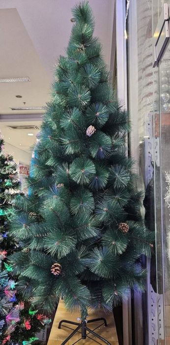 Елха естествено зелена с шишарки