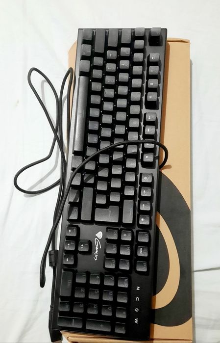 Tastatura mecanica gaming Genesis Thor 300