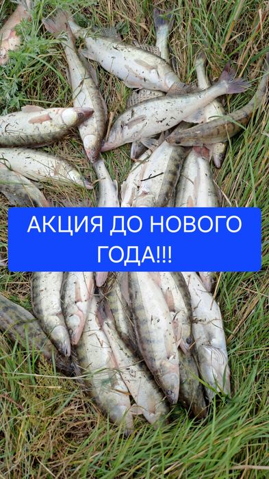 Паук,подъемник на рыбалку,сетка,полотно ручная работа