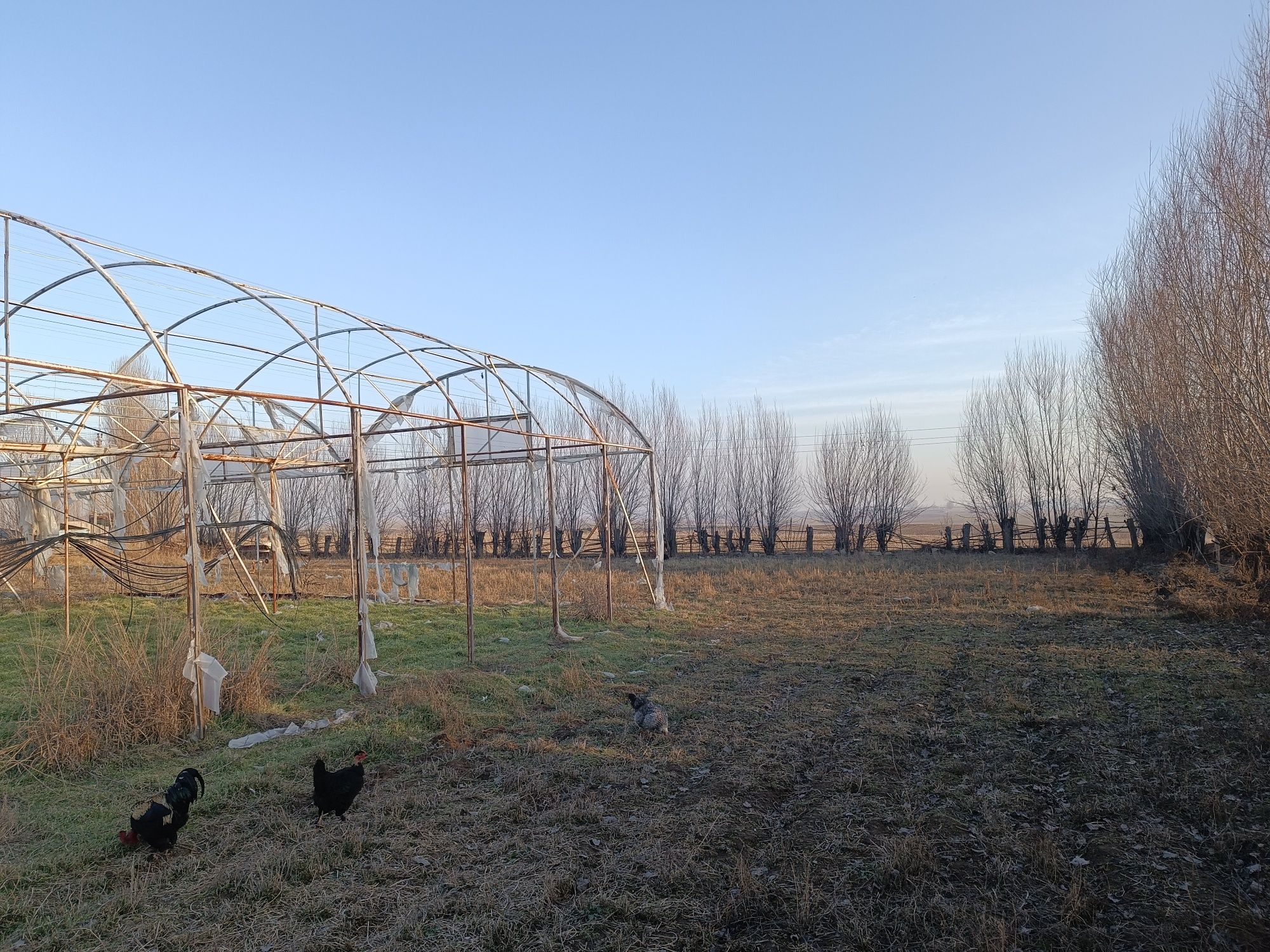 Участок куру йер