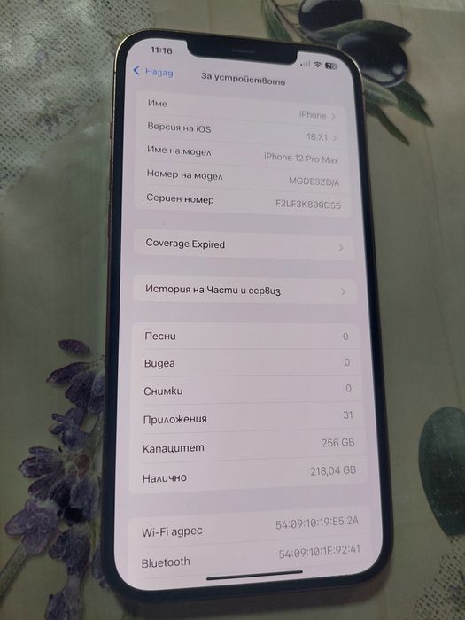 Iphone 12 pro max 256 GB