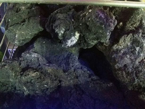 Roca vulcanica neagra-Black Lava rock-Pietre de lavă negre