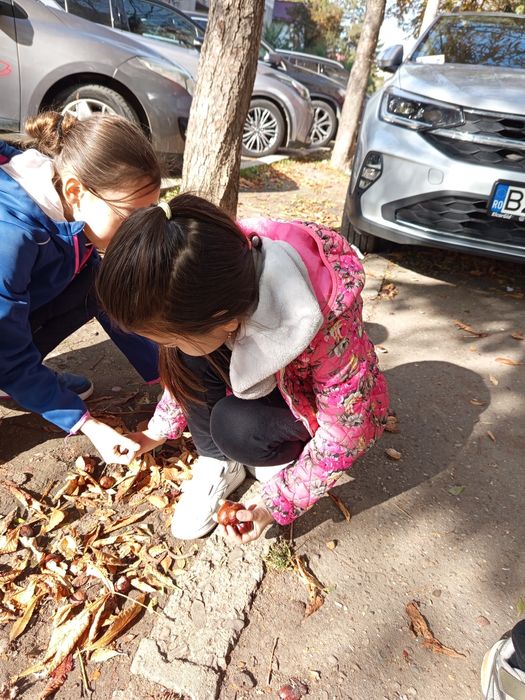 Servicii AfterSchool Buzău