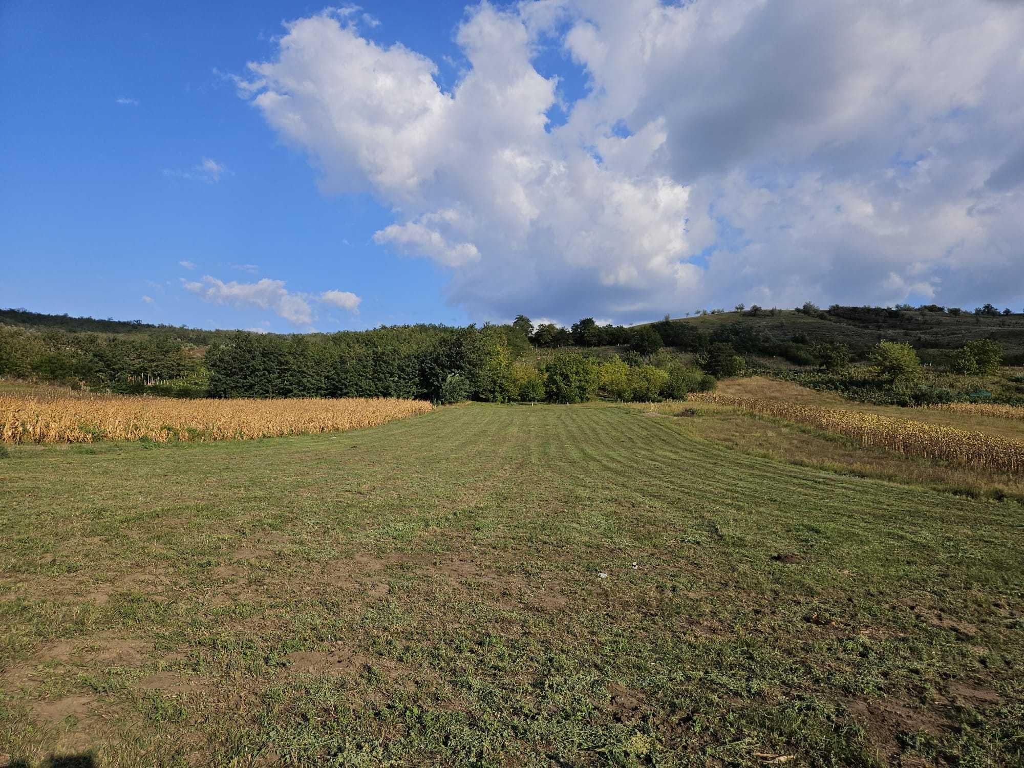 Teren Agricol Extravilan 2.83 ha Gura Bustii Vaslui