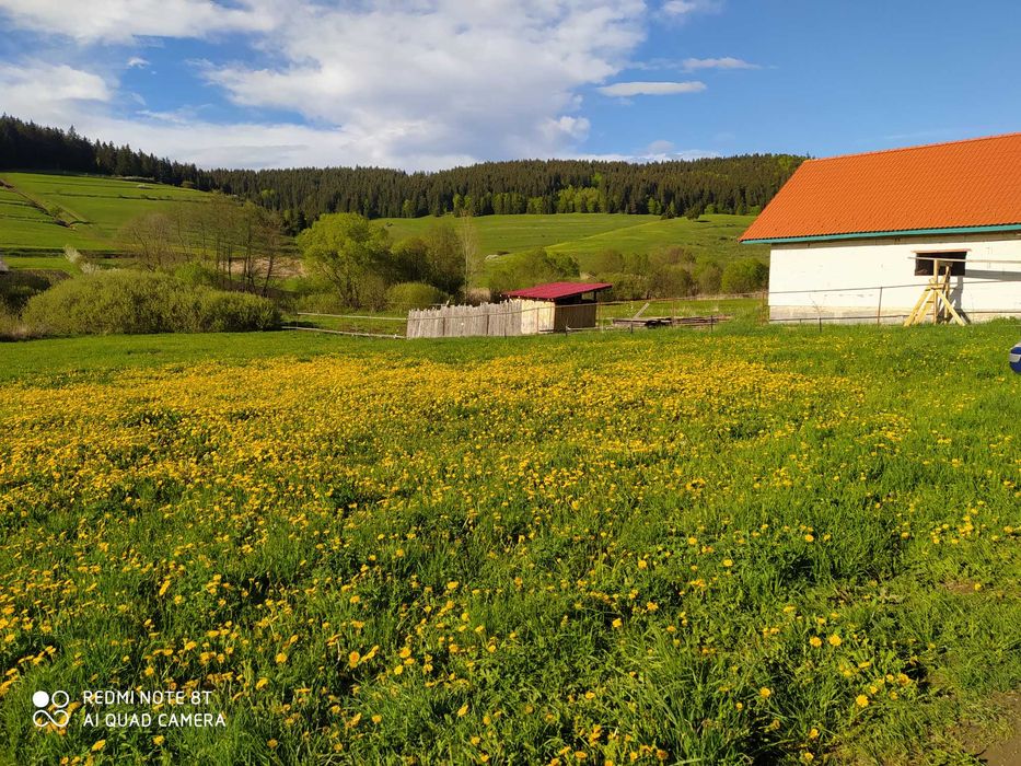 Teren intravilan - Fitod - M-Ciuc