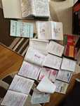 Biologie medicina