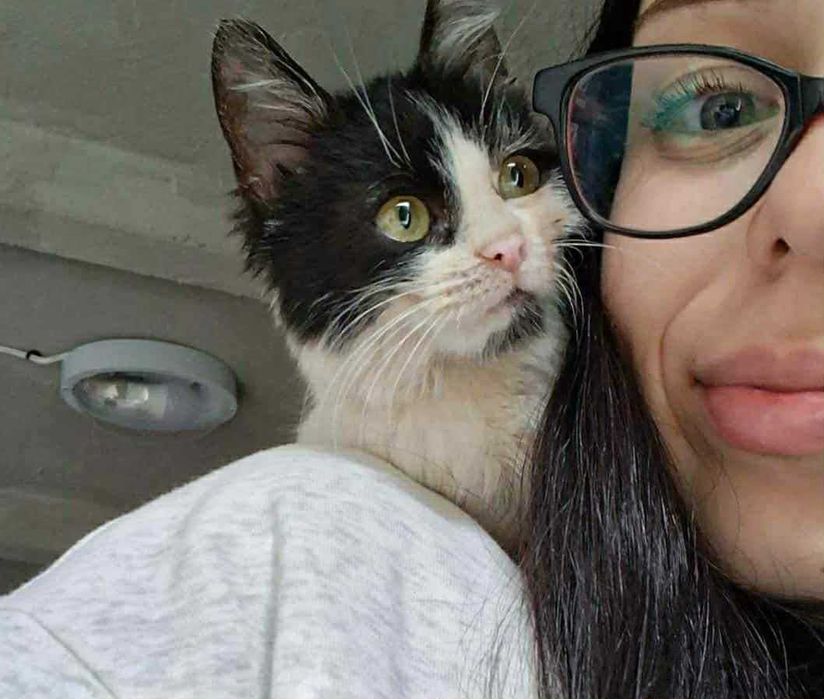 2-месечно момиченце търси дом!