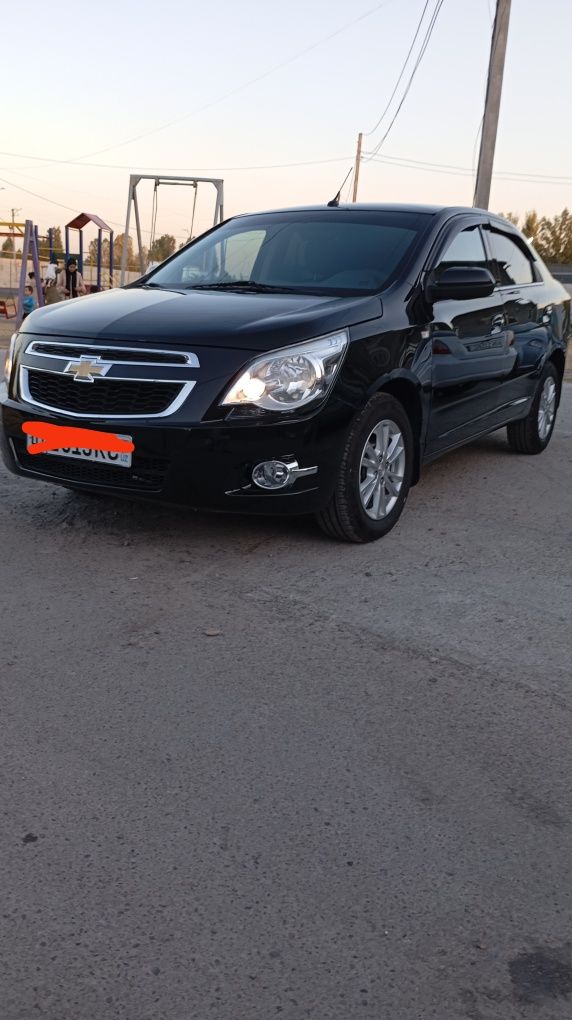 Cobalt Qora 2024