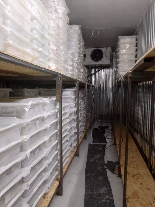 Аренда морозильной камеры