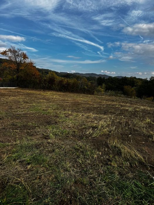 Vand 2 loturi de teren la Vladesti