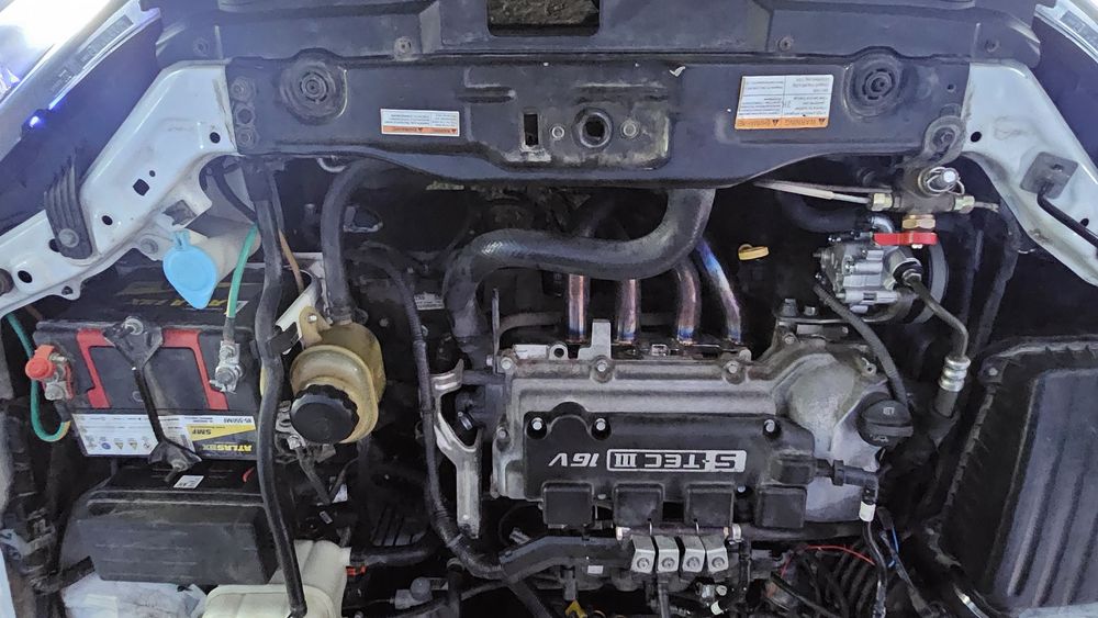 Arenda Jentra Elgant puls  2022