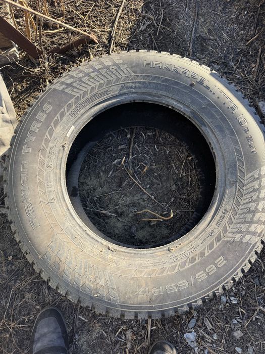 Nokian hakkapelitta 10