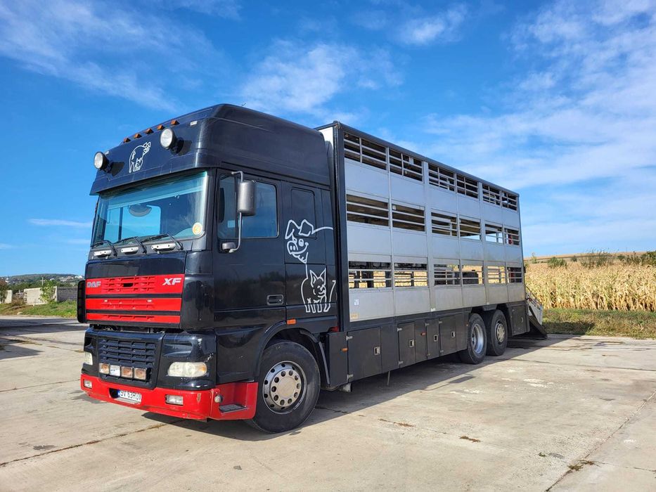 De vanzare camion animale DAF + REMORCA