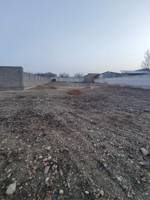 Noturarjoy 0.3110 sotix