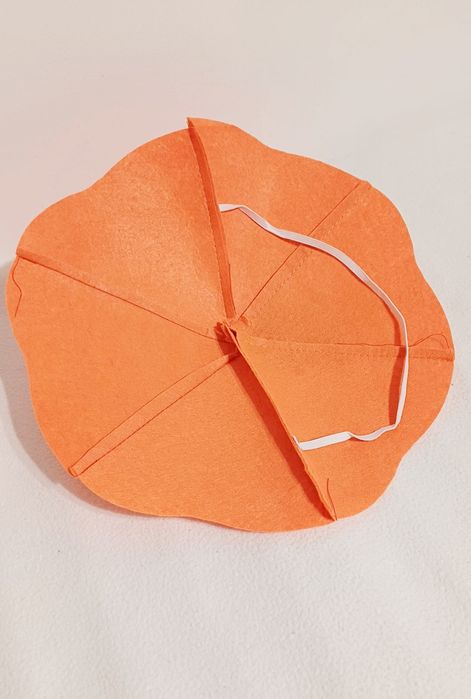 Costum carnaval dovleac