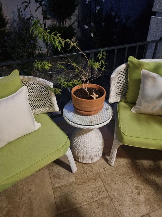 Set mobilier gradina Cerres, mobexpert