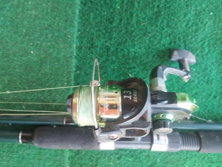 Vând undite urgent!!