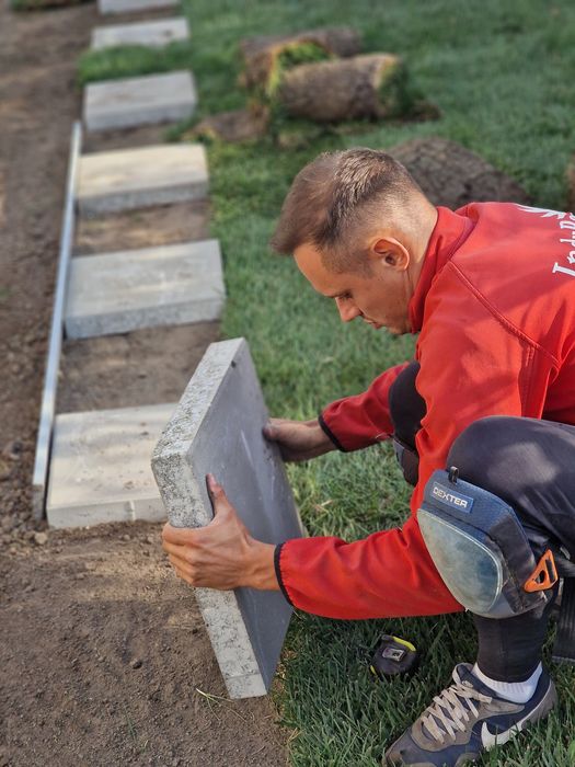 Gazon natural rulouri sau semințe