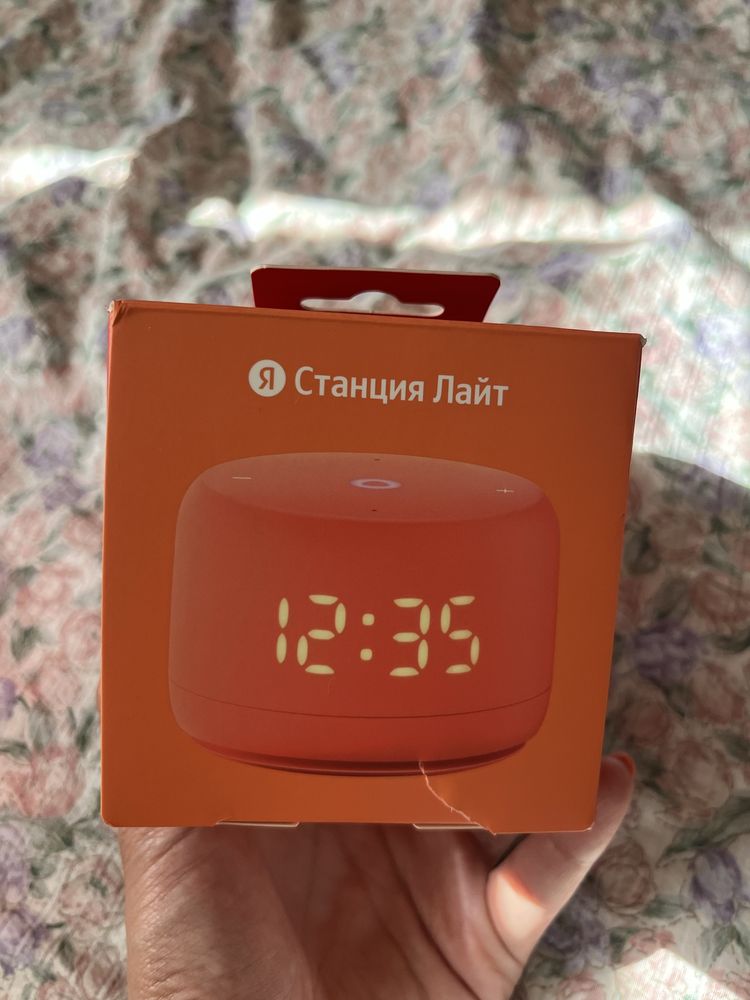 Алиса новый қолданылмаған