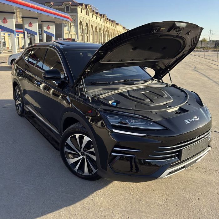 BYD champion 150km full 2024