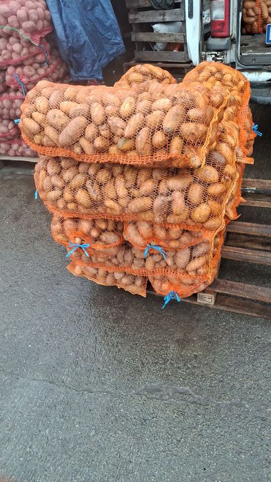 Cartofii de sămânță și de consum