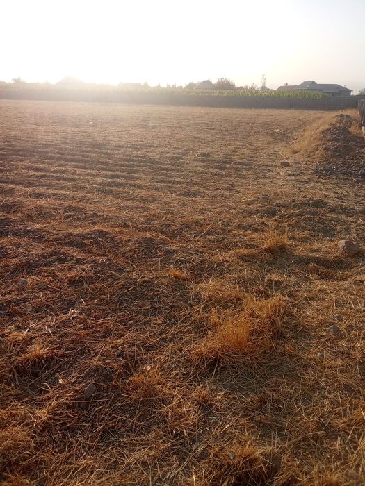 Yer sotiladi 60 sotix.