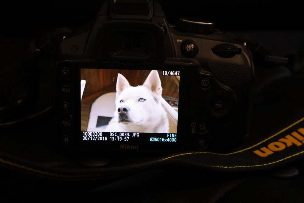 Aparat DSLR NIKON D3200