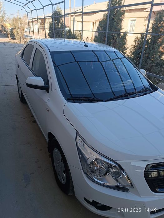 Cobalt sotiladi 2022 yil 22000 probek