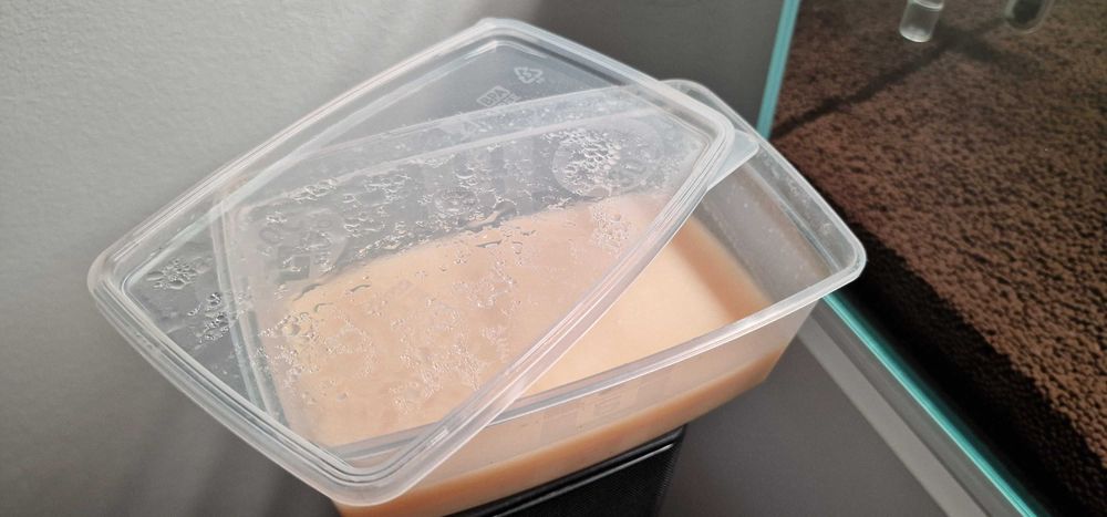 Culturi matura Microviermi, Grindal HRANA VIE pentru PESTI