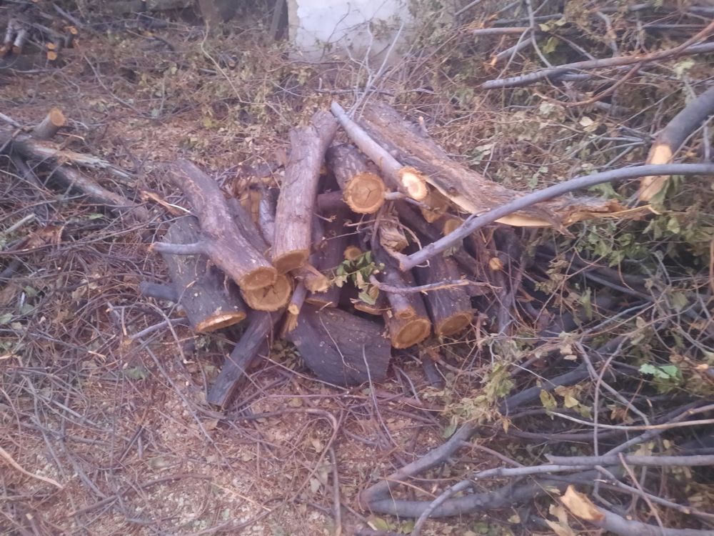 Бесплатно дрова