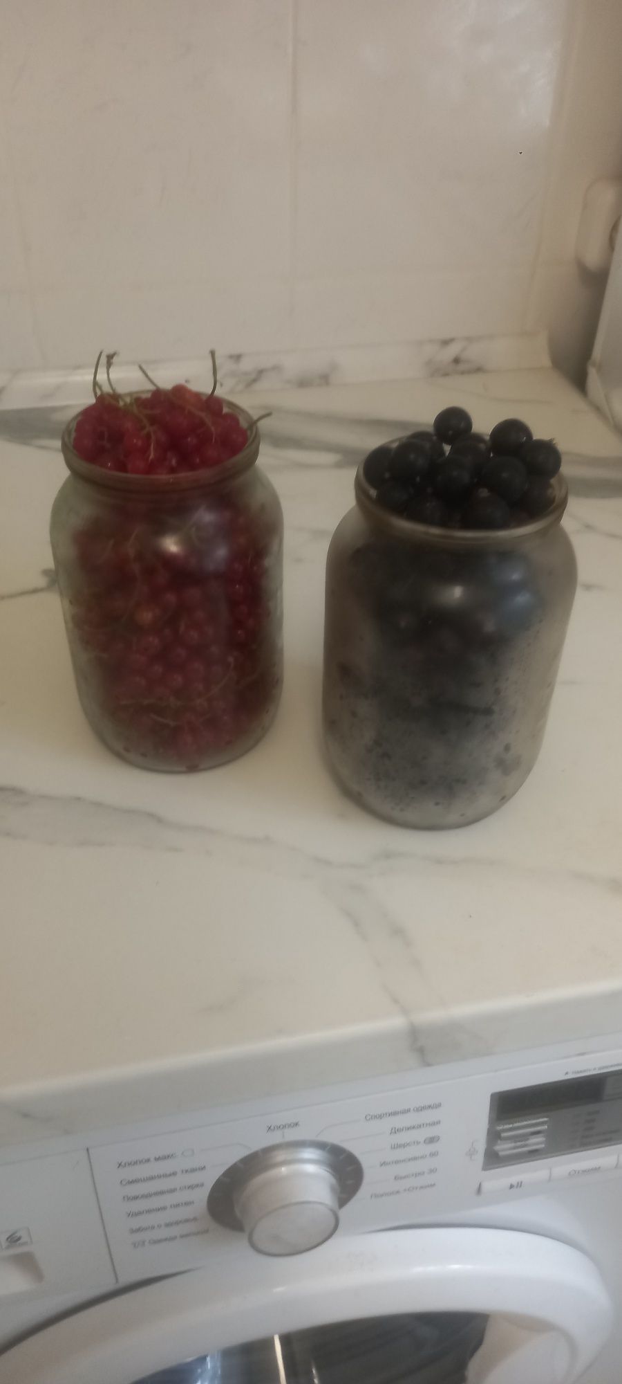 Продам дачную смородину.