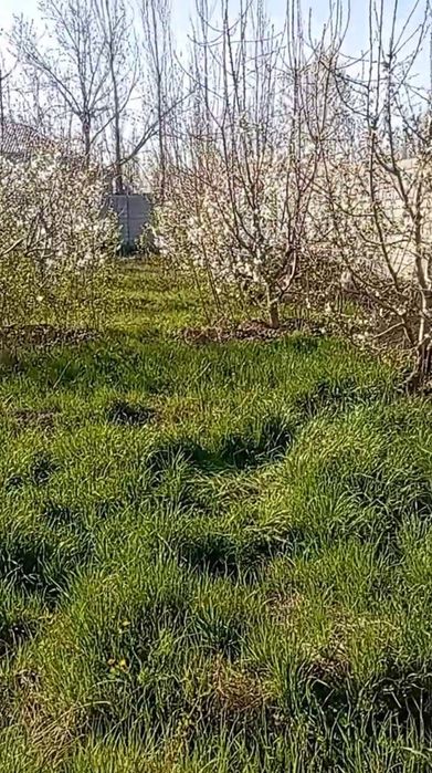 Yangi Toshkentga yaqin joyda Hovli srochno sotiladi