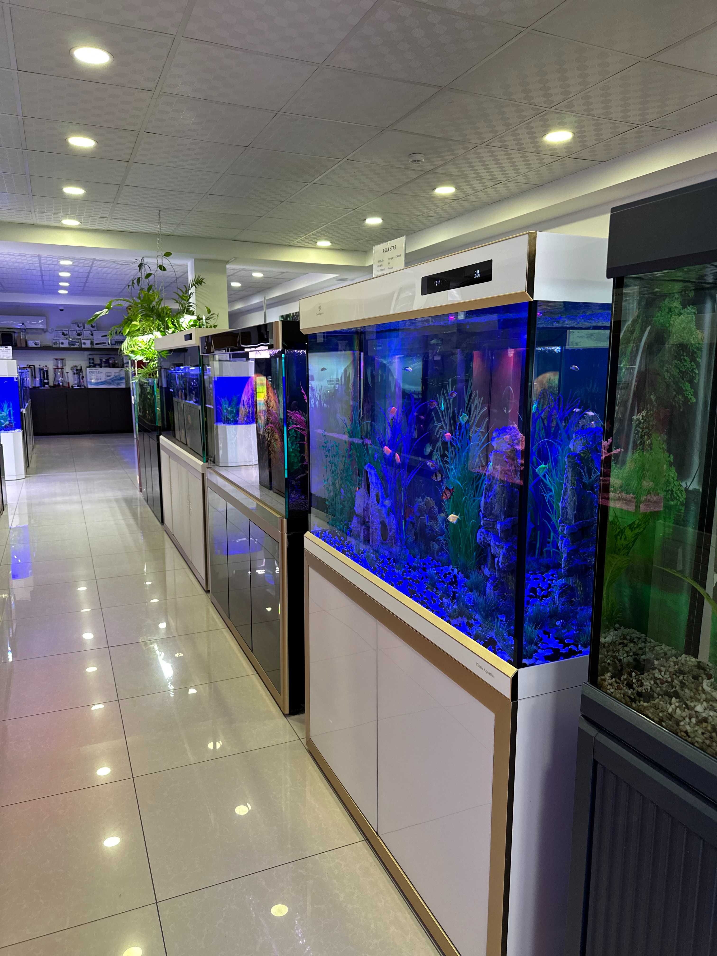 Аквариумы CLEAIR AQUATICS от эксклюзивного дилера в Узбекистане