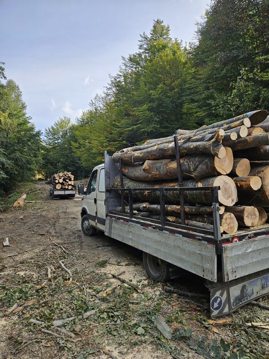 Vând lemne de foc esență tare