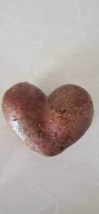 Картошка красная ввиде сердца