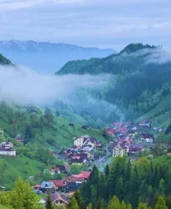 Vânzare  Afacere  Pensiune cu restaurant in Bran _Moieciu Brașov