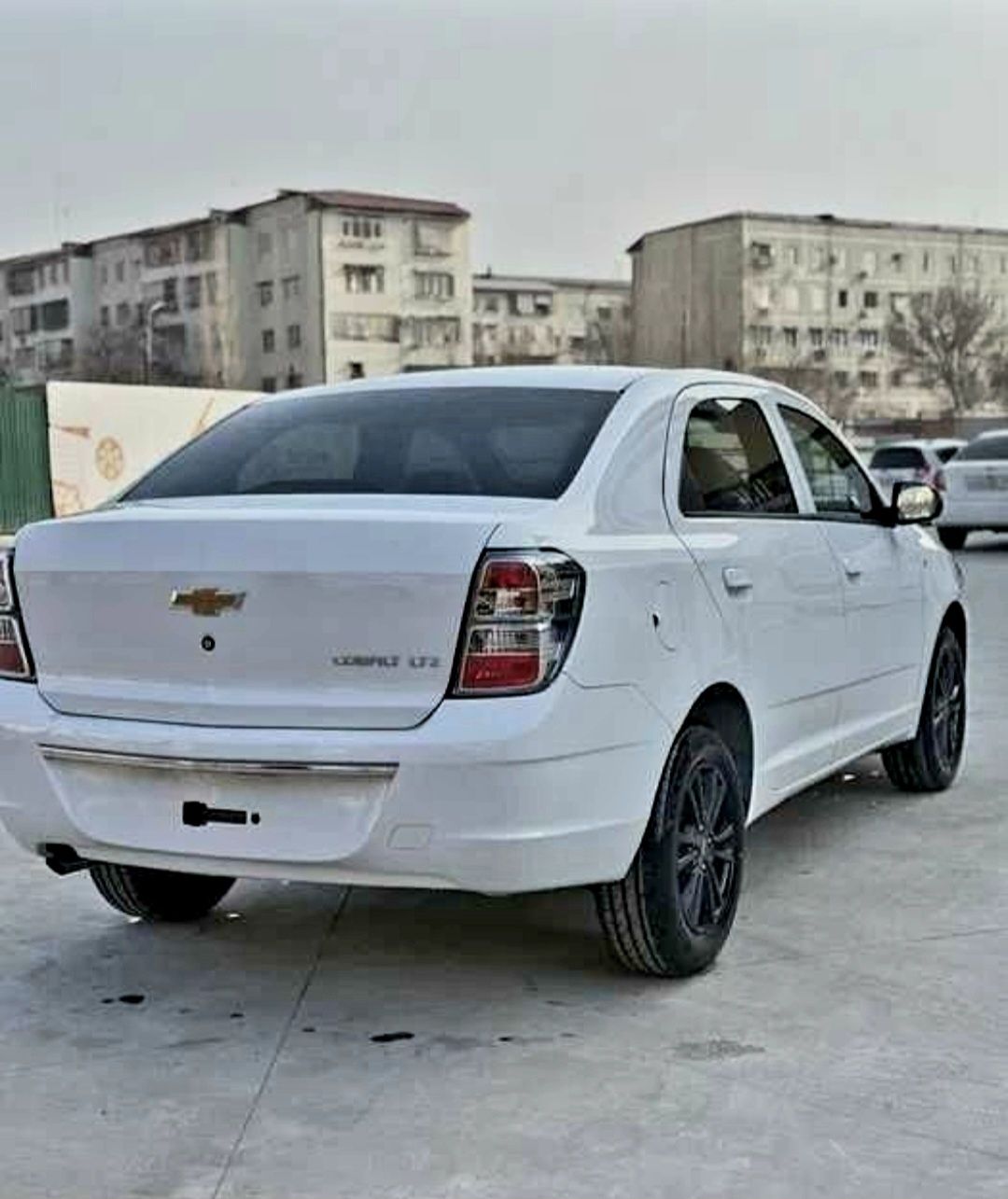 **Cobalt midnight 2025 new