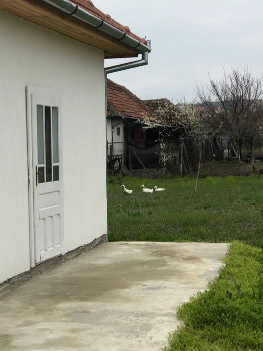 Inchiriez casa centrala in Orasul Sebis / complet mobilat utilat