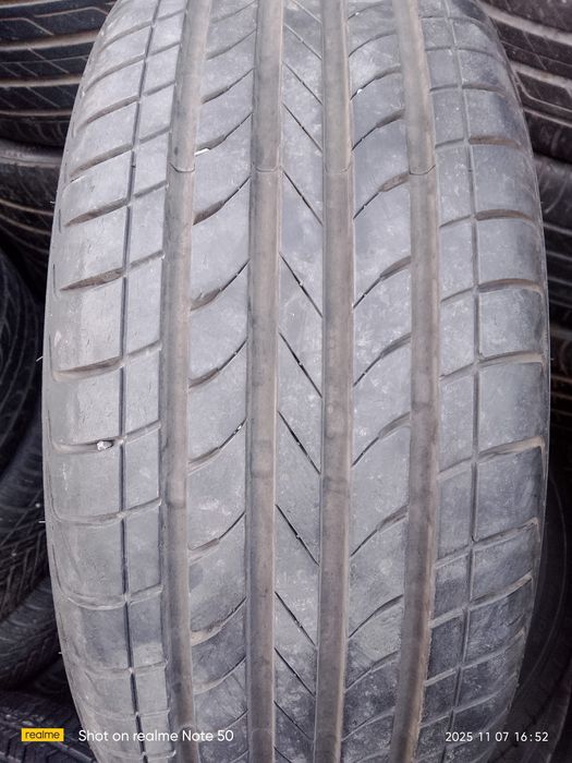 Nexia 3 saka arginal diska balon