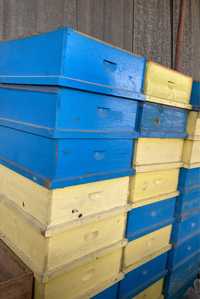 Пчелни магазини ДБ-10 рамкови с иградени рамки