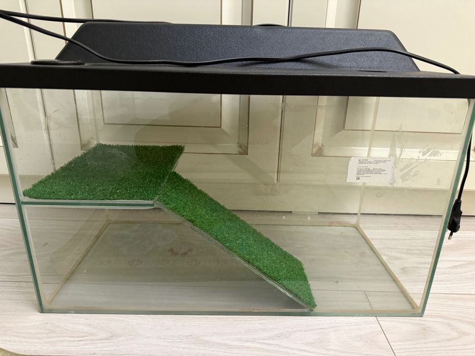 Террариум стеклянный для черепах