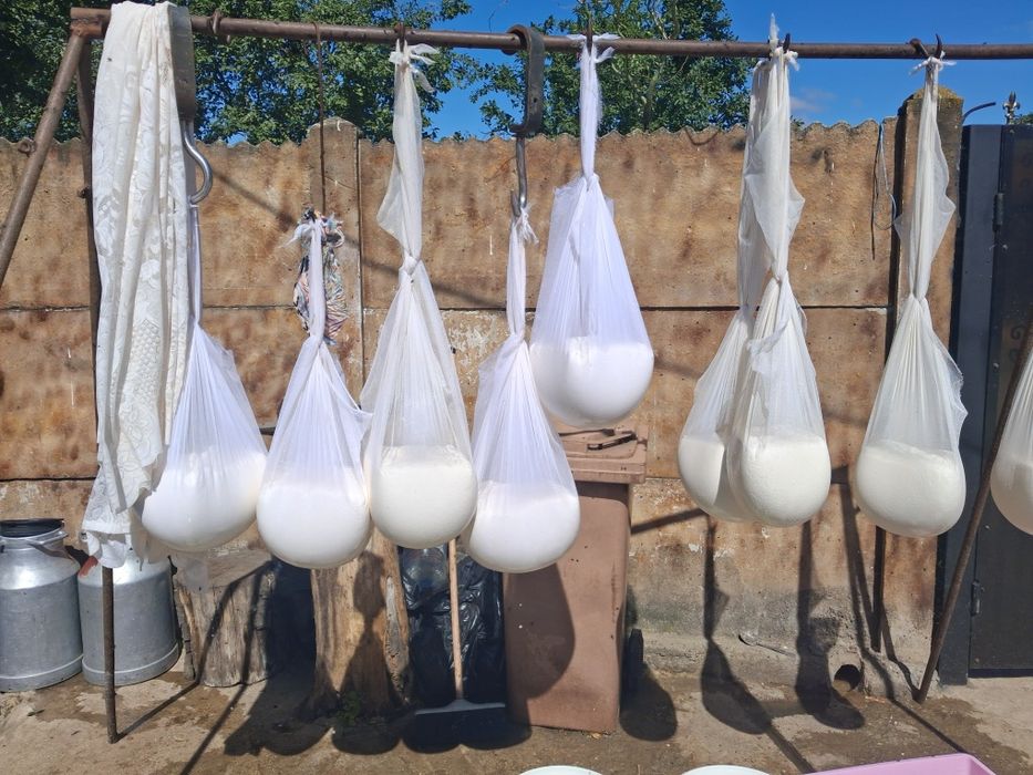 Aducem brânză de oaie in severin 25lei kg. pt comenzi nr tel 075566650