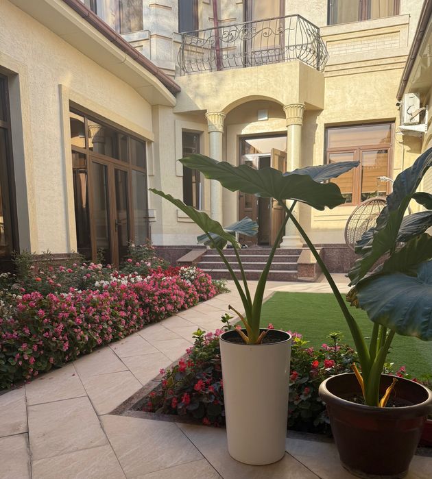 Tурар жой 30-35 ешарли айол кишига