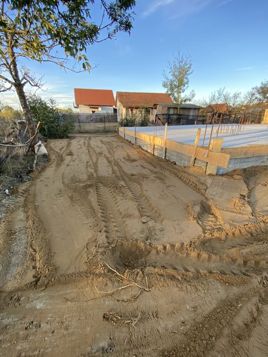 Mraniță de oaie macerată și pământ nisipos