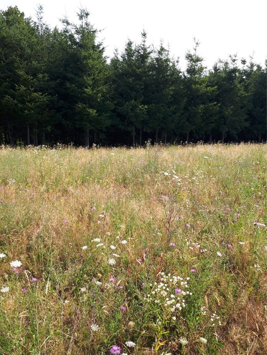 Vand teren comuna Halmășd, cătunul Fufez