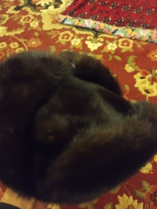 Норка попок. Санкт Петербург кеган.