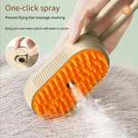 Perie Pisica, cu apa Spray- Brush pentru par.