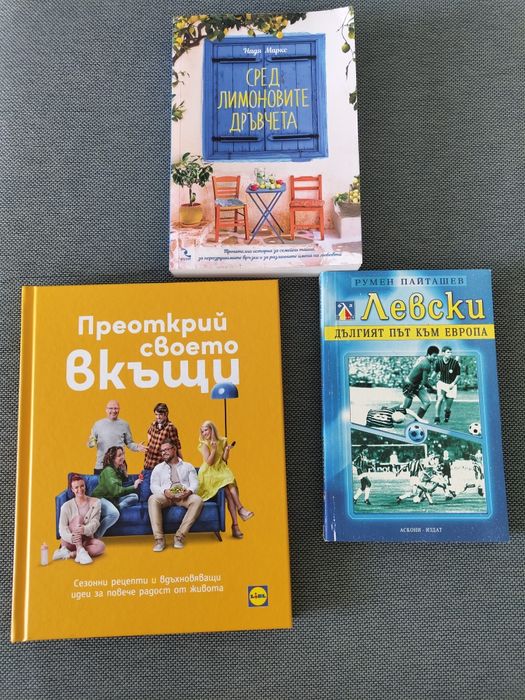 Книга за ФК Левски - Дългият път към Европа, Преоткрий своето вкъщи,